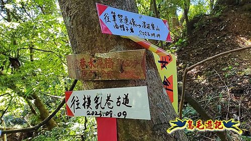 石碇摸乳巷古道溪邊寮山西帽子岩出山羊洞步道口 (14).jpg