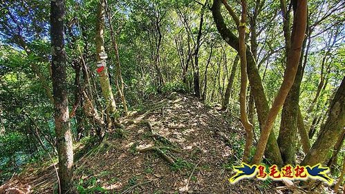 石碇摸乳巷古道溪邊寮山西帽子岩出山羊洞步道口 (21).jpg