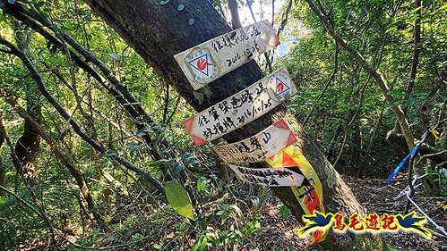 石碇摸乳巷古道溪邊寮山西帽子岩出山羊洞步道口 (26).jpg