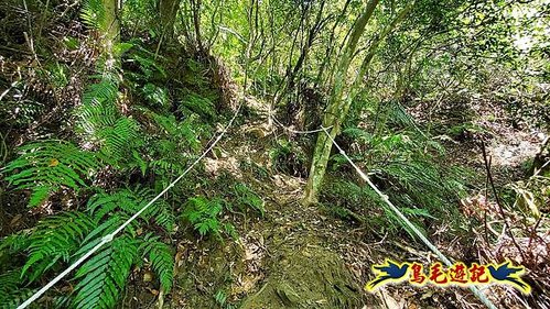 石碇摸乳巷古道溪邊寮山西帽子岩出山羊洞步道口 (41).jpg