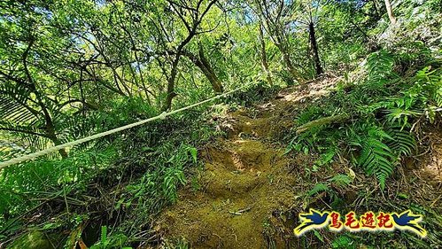 石碇摸乳巷古道溪邊寮山西帽子岩出山羊洞步道口 (42).jpg