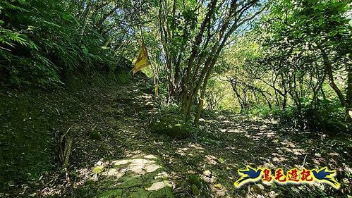 石碇摸乳巷古道溪邊寮山西帽子岩出山羊洞步道口 (44).jpg