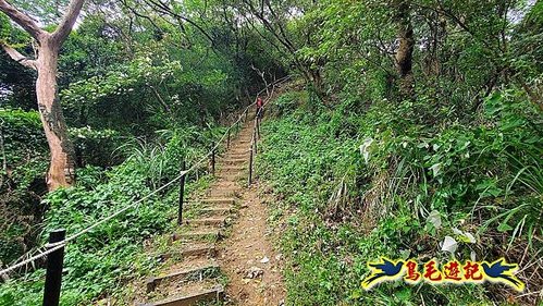 鶯歌石牛灶山龜公山孫龍步道O形 (17).jpg