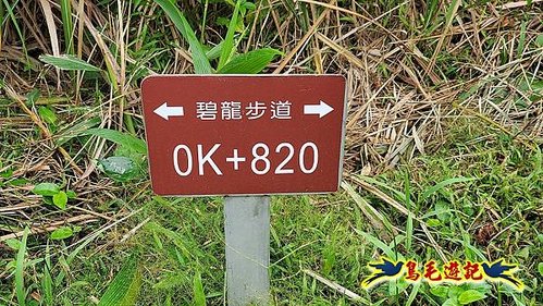 鶯歌石牛灶山龜公山孫龍步道O形 (26).jpg