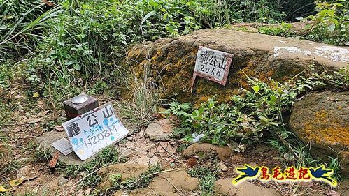 鶯歌石牛灶山龜公山孫龍步道O形 (32).jpg