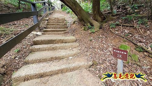 鶯歌石牛灶山龜公山孫龍步道O形 (38).jpg