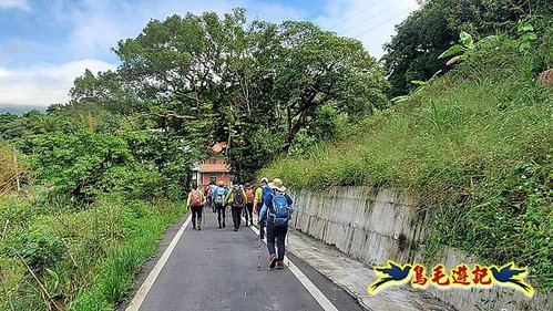 石笋古道-南草山-草山南峰下黃金神社步道 (3).jpg