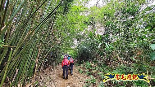 石笋古道-南草山-草山南峰下黃金神社步道 (10).jpg