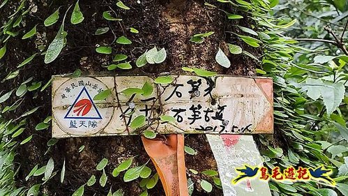 石笋古道-南草山-草山南峰下黃金神社步道 (8).jpg