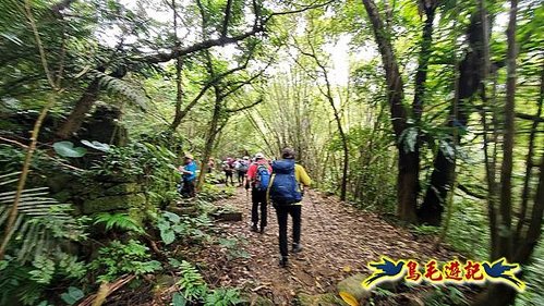 石笋古道-南草山-草山南峰下黃金神社步道 (18).jpg