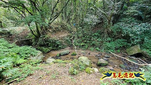 石笋古道-南草山-草山南峰下黃金神社步道 (22).jpg