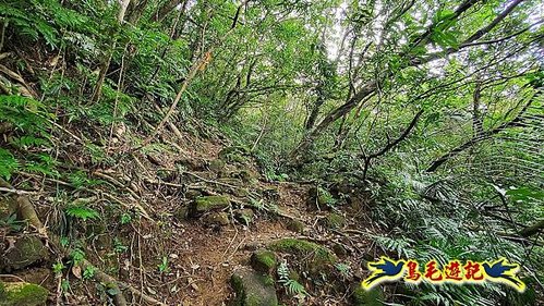 石笋古道-南草山-草山南峰下黃金神社步道 (21).jpg