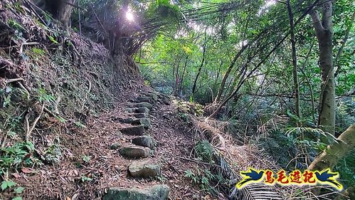 石笋古道-南草山-草山南峰下黃金神社步道 (23).jpg