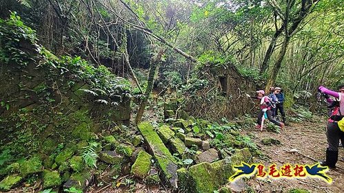 石笋古道-南草山-草山南峰下黃金神社步道 (19).jpg