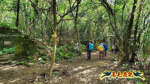 石笋古道-南草山-草山南峰下黃金神社步道 (24).jpg