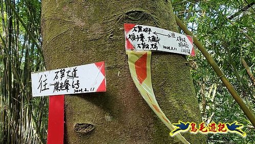 石笋古道-南草山-草山南峰下黃金神社步道 (27).jpg