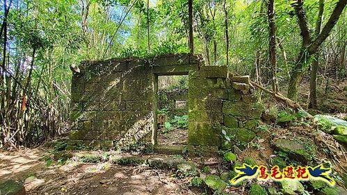 石笋古道-南草山-草山南峰下黃金神社步道 (26).jpg