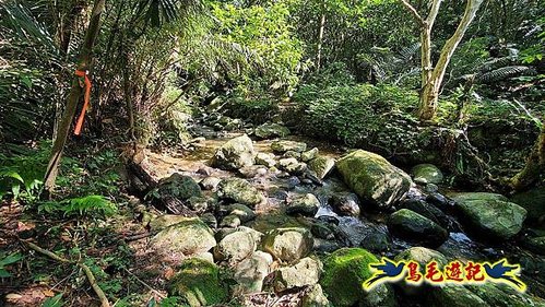 石笋古道-南草山-草山南峰下黃金神社步道 (29).jpg