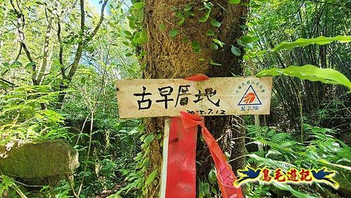 石笋古道-南草山-草山南峰下黃金神社步道 (30).jpg