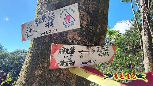 石笋古道-南草山-草山南峰下黃金神社步道 (35).jpg