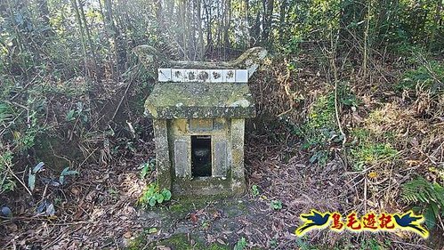 石笋古道-南草山-草山南峰下黃金神社步道 (34).jpg