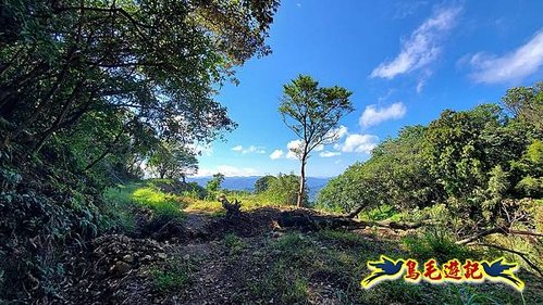 石笋古道-南草山-草山南峰下黃金神社步道 (37).jpg