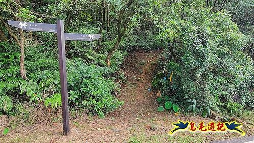 石笋古道-南草山-草山南峰下黃金神社步道 (41).jpg