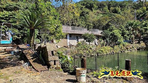 石笋古道-南草山-草山南峰下黃金神社步道 (38).jpg