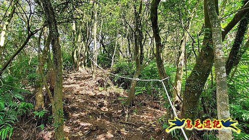 石笋古道-南草山-草山南峰下黃金神社步道 (47).jpg