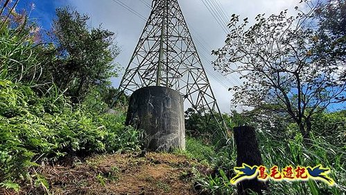 石笋古道-南草山-草山南峰下黃金神社步道 (45).jpg