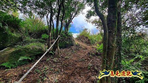 石笋古道-南草山-草山南峰下黃金神社步道 (48).jpg