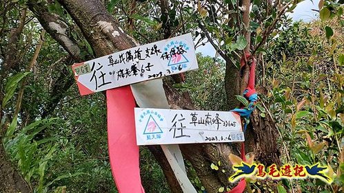 石笋古道-南草山-草山南峰下黃金神社步道 (49).jpg