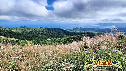 石笋古道-南草山-草山南峰下黃金神社步道 (51).jpg