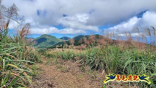 石笋古道-南草山-草山南峰下黃金神社步道 (54).jpg