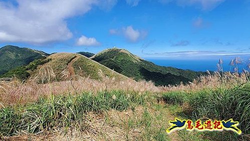 石笋古道-南草山-草山南峰下黃金神社步道 (60).jpg