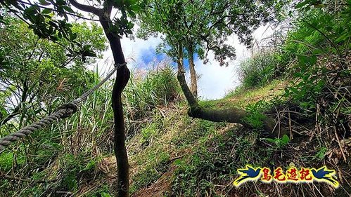 石笋古道-南草山-草山南峰下黃金神社步道 (58).jpg