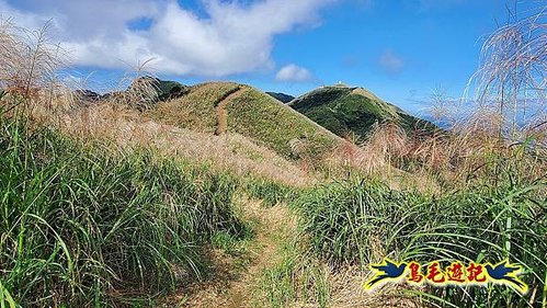 石笋古道-南草山-草山南峰下黃金神社步道 (61).jpg