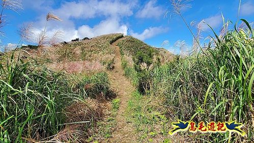 石笋古道-南草山-草山南峰下黃金神社步道 (63).jpg