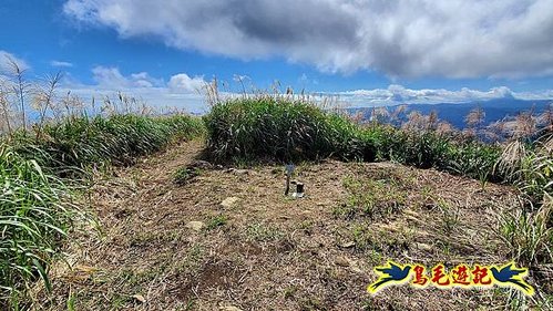 石笋古道-南草山-草山南峰下黃金神社步道 (66).jpg