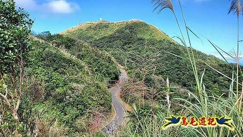 石笋古道-南草山-草山南峰下黃金神社步道 (68).jpg