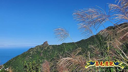 石笋古道-南草山-草山南峰下黃金神社步道 (75).jpg