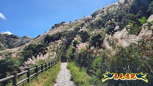 石笋古道-南草山-草山南峰下黃金神社步道 (77).jpg