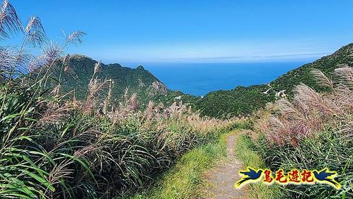 石笋古道-南草山-草山南峰下黃金神社步道 (78).jpg