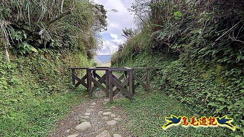 擎天崗-日人路·金包里大路-南勢湖古道(未竟)-金山老街 (2).jpg