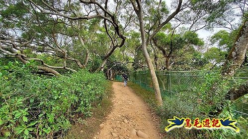 鳳崎落日步道(天德堂-蓮花寺-新豐車站) (40).jpg