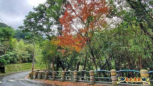 大崙頭尾山步道(碧溪橋-中社路) (2).jpg