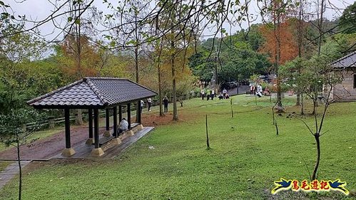 大崙頭尾山步道(碧溪橋-中社路) (12).jpg