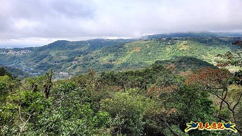 大崙頭尾山步道(碧溪橋-中社路) (17).jpg