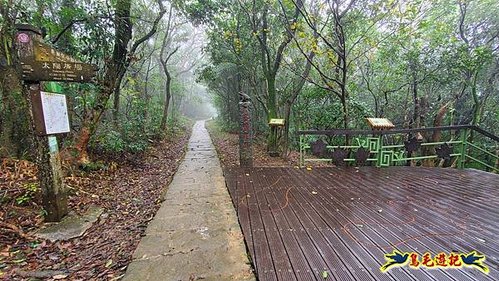 大崙頭尾山步道(碧溪橋-中社路) (19).jpg