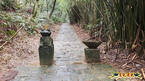 大崙頭尾山步道(碧溪橋-中社路) (22).jpg